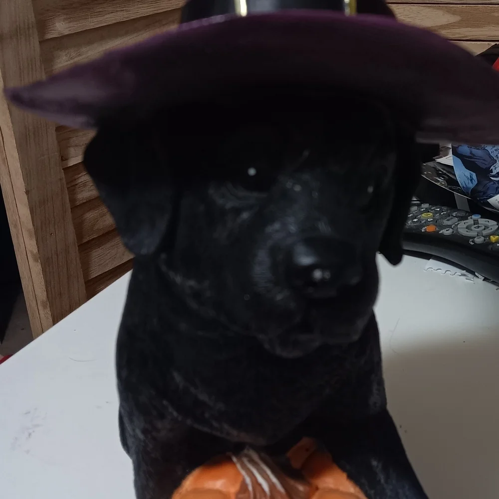 Dog figurine Halloween hat decor black and purple